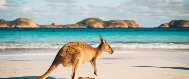 Australia Bets Big on Biofuels With $735 Million Investment