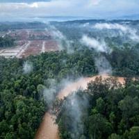 Norway sovereign wealth fund drops French miner over environmental fears | National