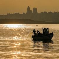 WTO fishing deal: the net results | National