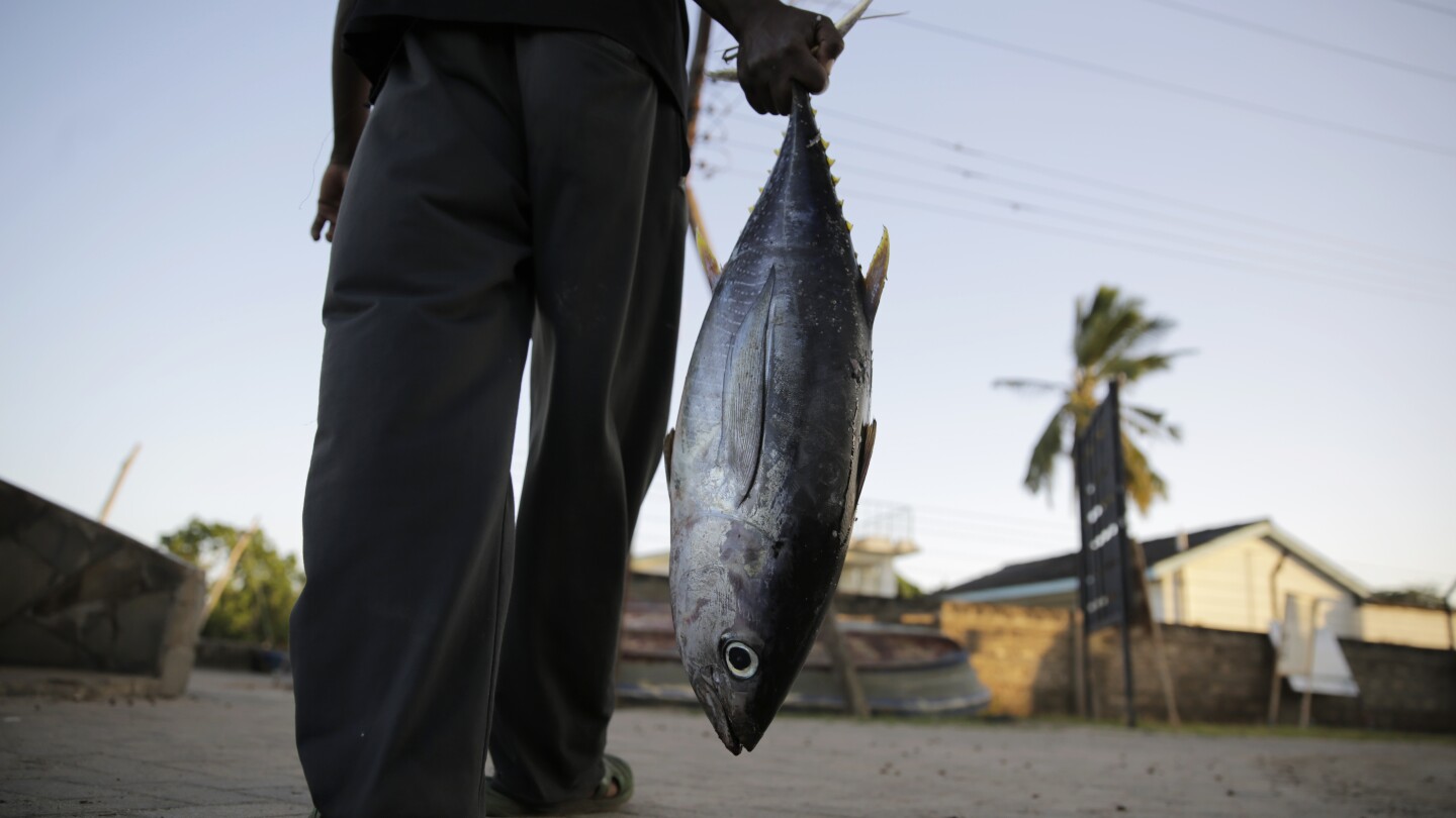 WTO’s fisheries subsidy ban takes effect
