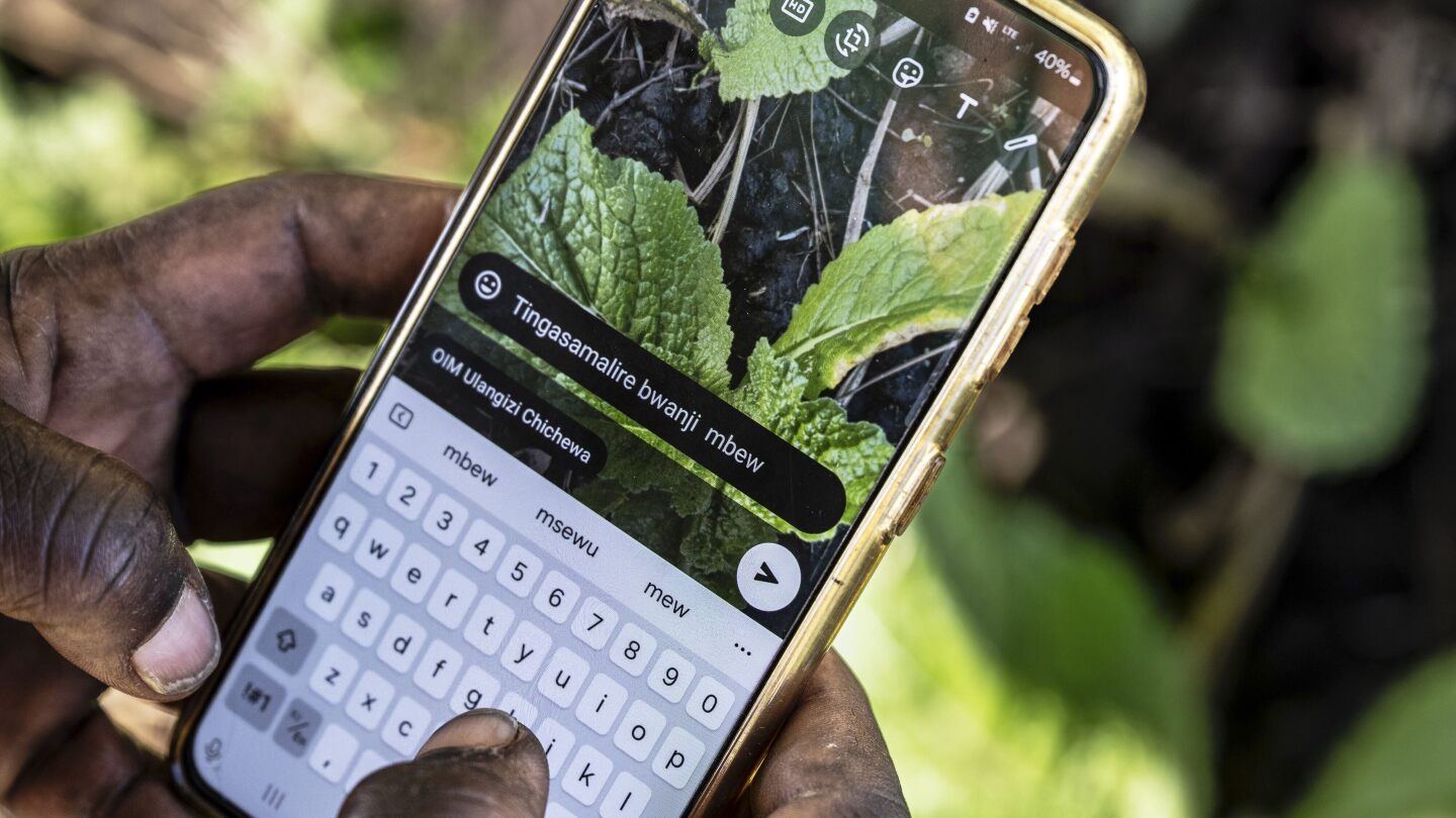 How AI is helping some small-scale farmers weather a changing climate