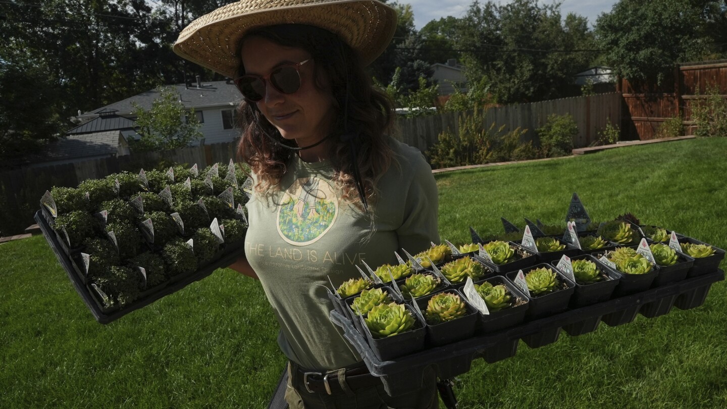 In drier, warmer climate, low-water landscaping offers a sensible solution