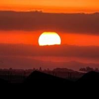 Trump gives Hamas ‘3 or 4 days’ on Gaza deal | National