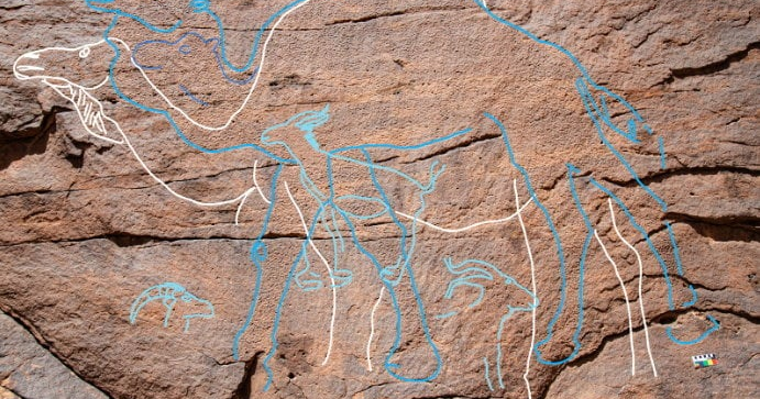 Ancient camel engraving was one of world’s first ‘road signs’ | National
