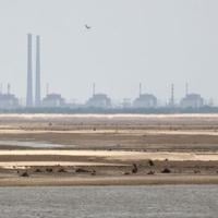 Russia says situation at Zaporizhzhia nuclear plant under control | National