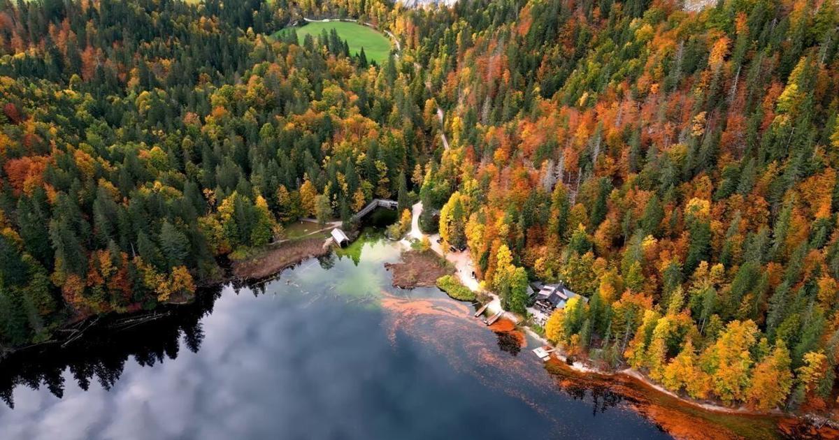 Airfares Are Down 45%, Here’s Why Parents Should Book Now | National