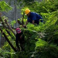 Hurricane Melissa strengthens as it crawls toward Jamaica | National