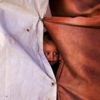 Israel insists it calls shots in Gaza despite truce | National