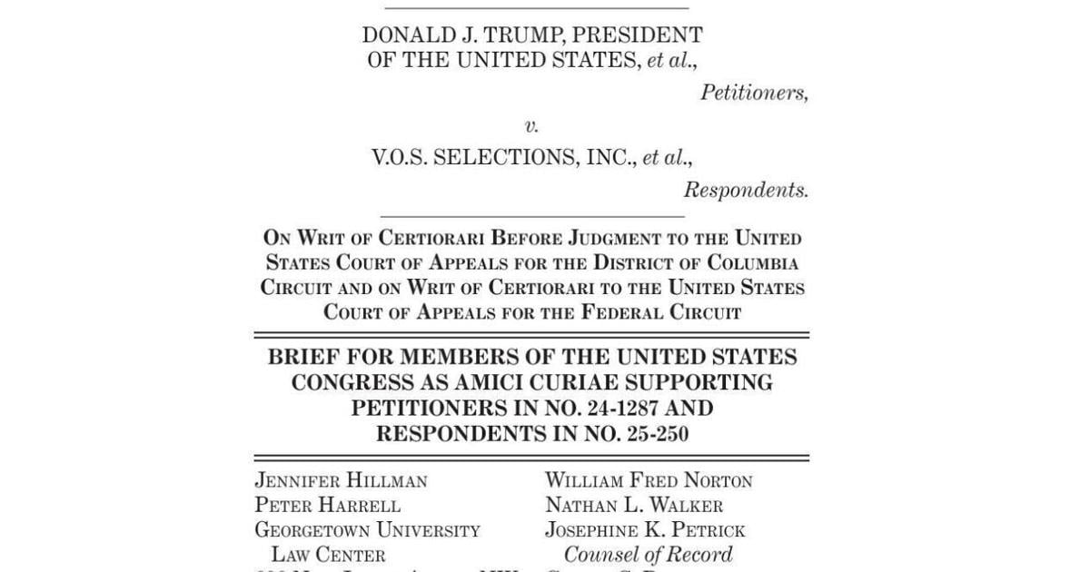 Democrats ask Supreme Court to curb presidential tariff power | National