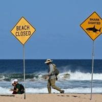 Australia fends off shark bites with new tech and old | National