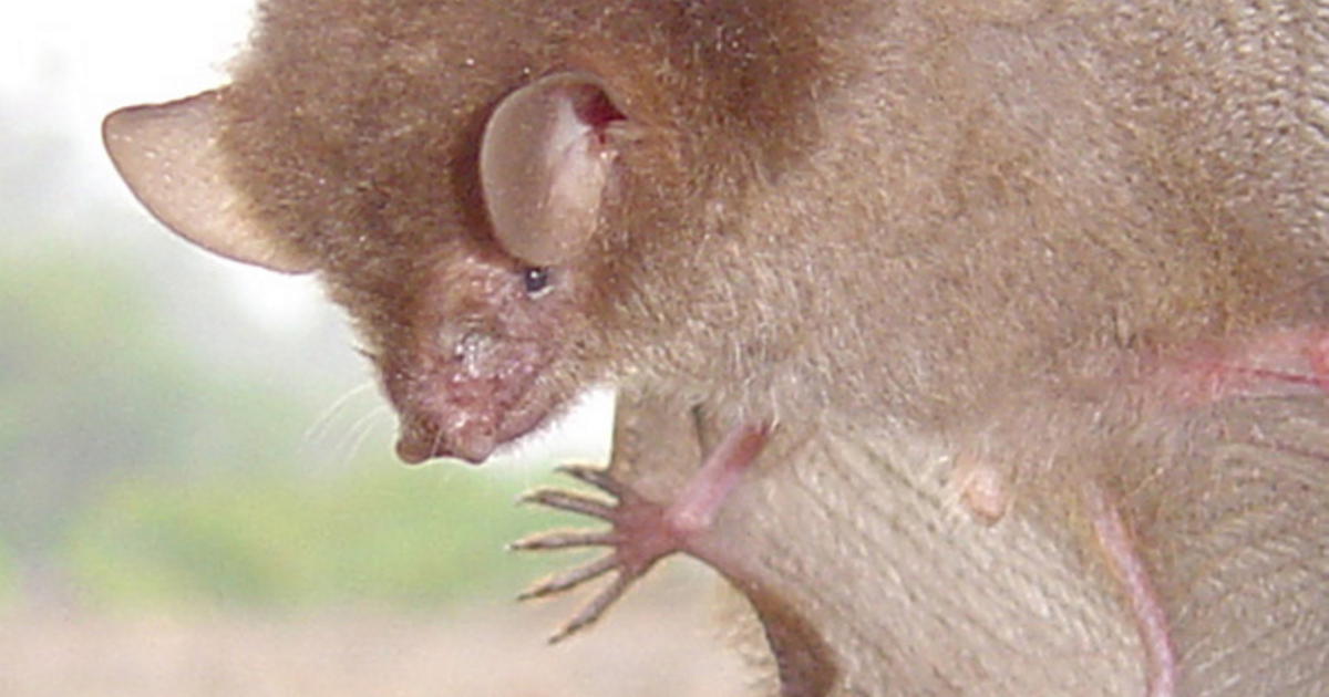 <br />
<b>Warning</b>:  Undefined variable $myimgalt in <b>/www/wwwroot/akbannernews.com/wp-content/themes/ennews001/single.php</b> on line <b>213</b><br />
