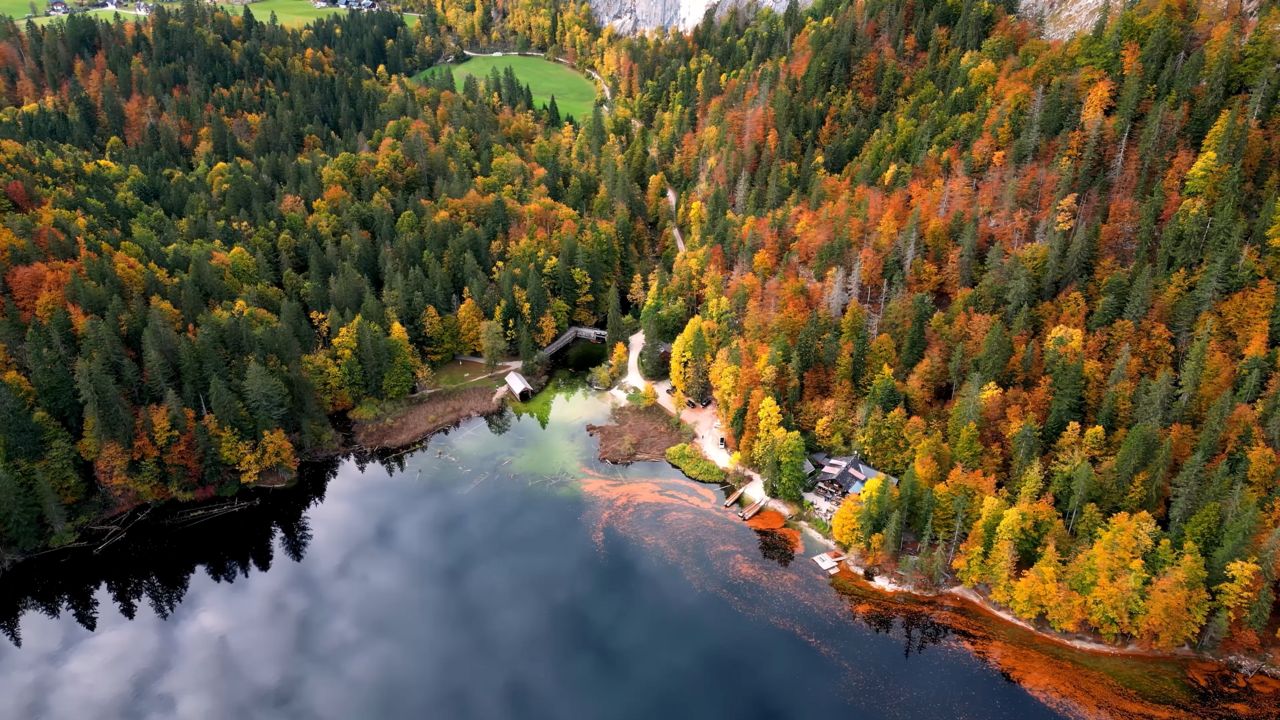 Airfares Are Down 45%, Here’s Why Parents Should Book Now