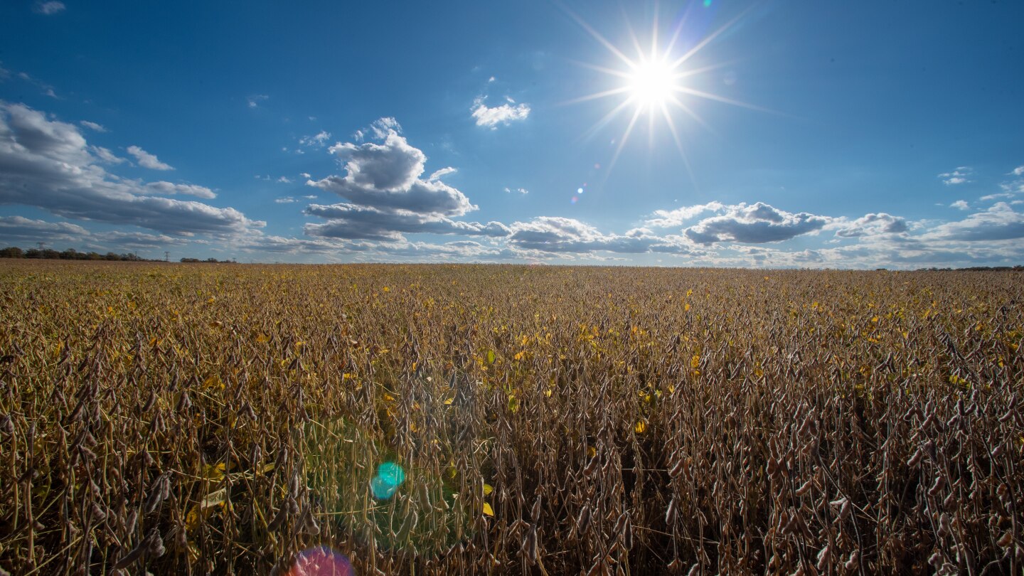 <br />
<b>Warning</b>:  Undefined variable $myimgalt in <b>/www/wwwroot/akbannernews.com/wp-content/themes/ennews001/single.php</b> on line <b>213</b><br />
