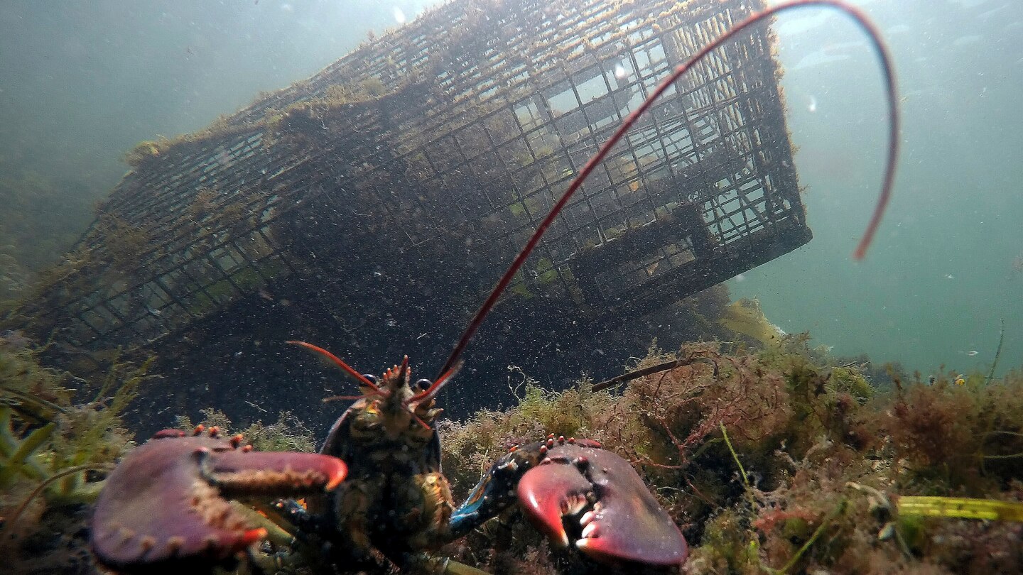 <br />
<b>Warning</b>:  Undefined variable $myimgalt in <b>/www/wwwroot/akbannernews.com/wp-content/themes/ennews001/single.php</b> on line <b>213</b><br />
