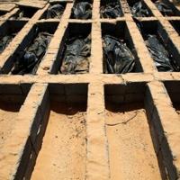 <br />
<b>Warning</b>:  Undefined variable $myimgalt in <b>/www/wwwroot/akbannernews.com/wp-content/themes/ennews001/single.php</b> on line <b>213</b><br />
