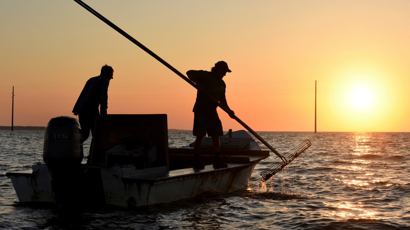 <br />
<b>Warning</b>:  Undefined variable $myimgalt in <b>/www/wwwroot/akbannernews.com/wp-content/themes/ennews001/single.php</b> on line <b>213</b><br />
