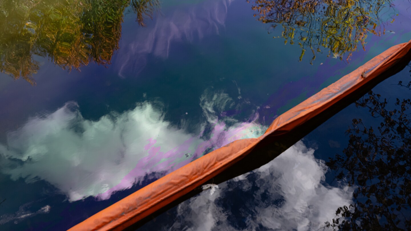 <br />
<b>Warning</b>:  Undefined variable $myimgalt in <b>/www/wwwroot/akbannernews.com/wp-content/themes/ennews001/single.php</b> on line <b>213</b><br />
