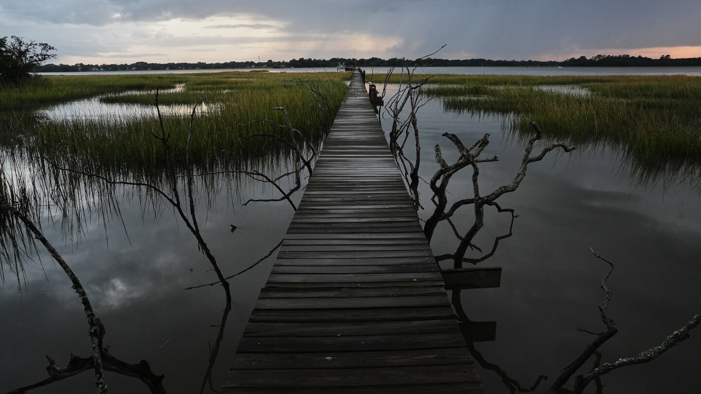 EPA moves to limit scope of clean water law to reduce amount of wetlands it covers
