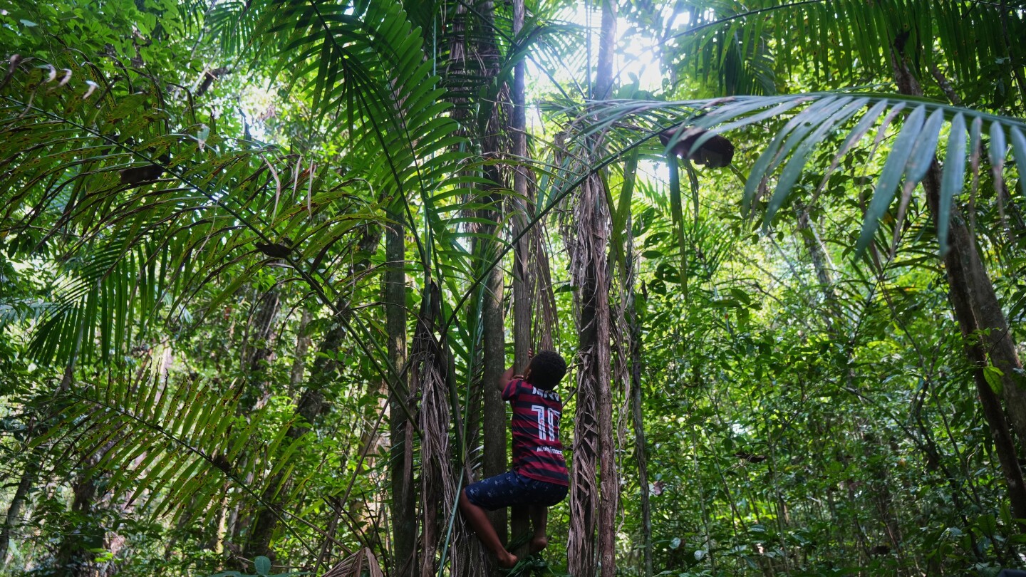 Quilombo, communities of former slaves in Brazil, press for land rights