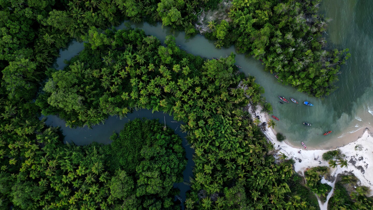 <br />
<b>Warning</b>:  Undefined variable $myimgalt in <b>/www/wwwroot/akbannernews.com/wp-content/themes/ennews001/single.php</b> on line <b>213</b><br />
