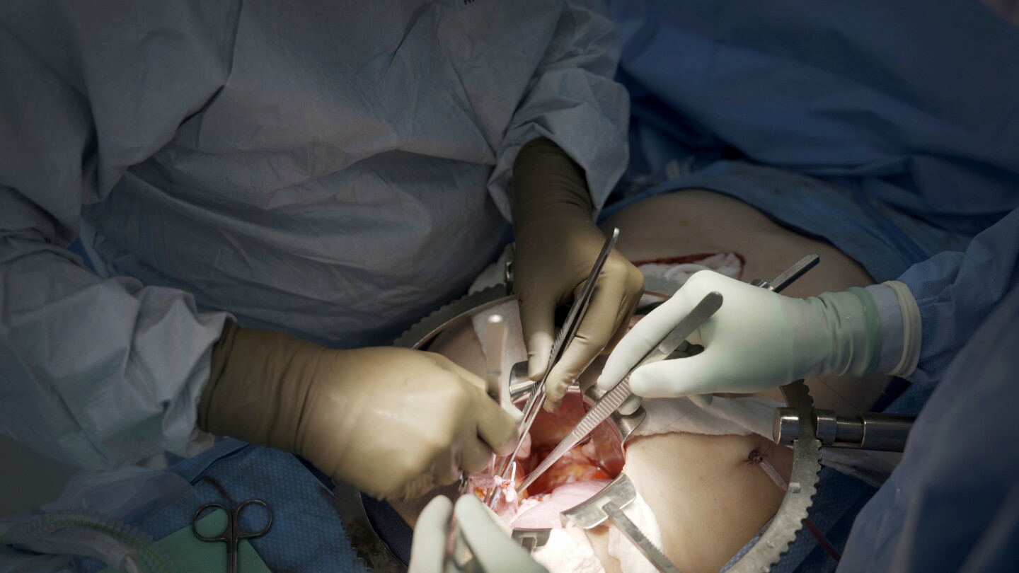 <br />
<b>Warning</b>:  Undefined variable $myimgalt in <b>/www/wwwroot/akbannernews.com/wp-content/themes/ennews001/single.php</b> on line <b>213</b><br />
