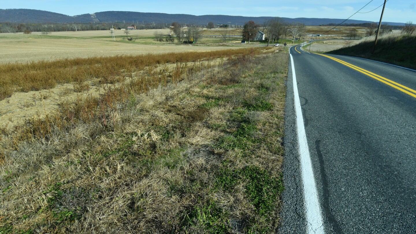 Scrutiny rises of utilities’ power projections for data centers