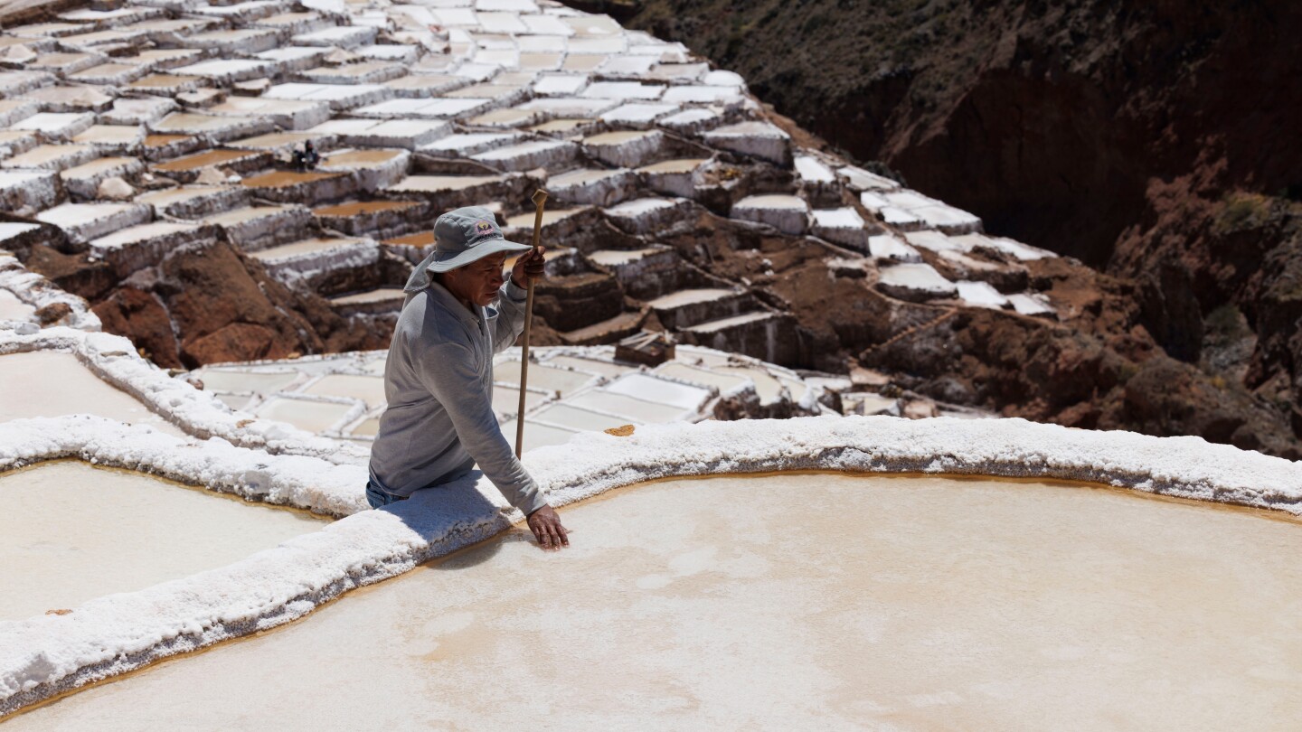 <br />
<b>Warning</b>:  Undefined variable $myimgalt in <b>/www/wwwroot/akbannernews.com/wp-content/themes/ennews001/single.php</b> on line <b>213</b><br />
