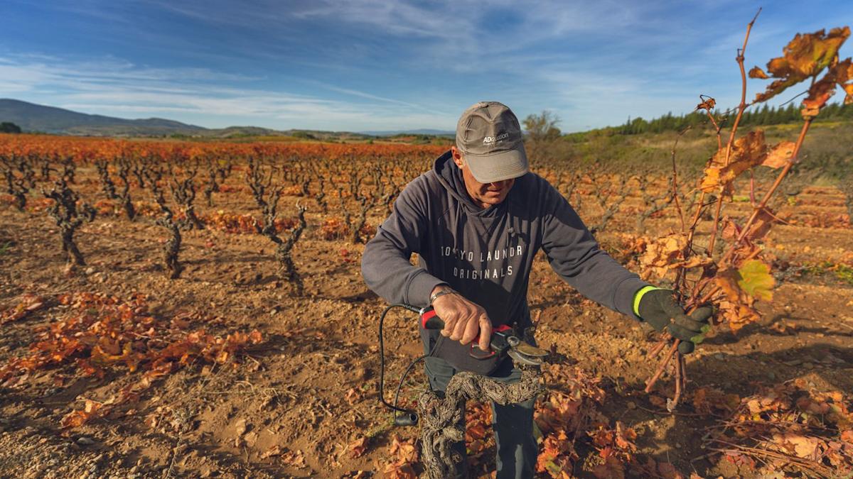 <br />
<b>Warning</b>:  Undefined variable $myimgalt in <b>/www/wwwroot/akbannernews.com/wp-content/themes/ennews001/single.php</b> on line <b>213</b><br />
